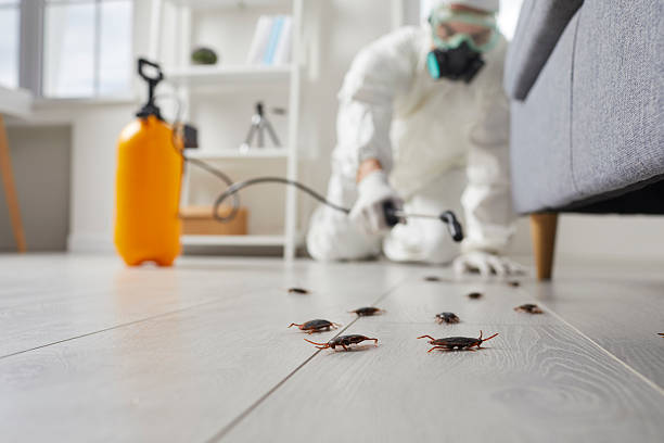 Post-Treatment Bed Bug Interceptor Monitoring in Pen Mar